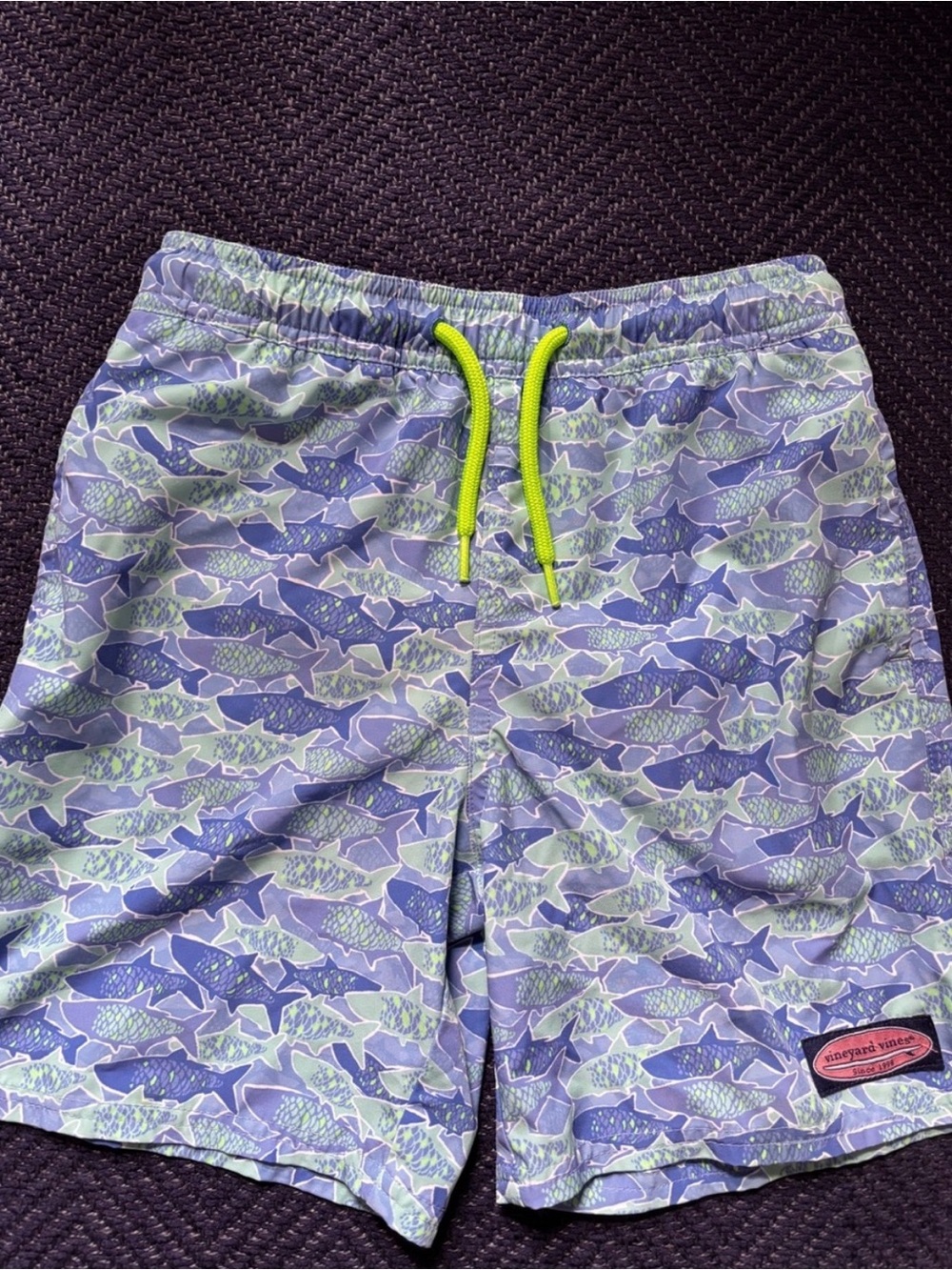 Vineyard Vines Blue Fish Print Shorts with Neon Drawstring